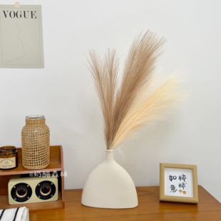 治愈系芦苇草仿真花简约高级感花瓶摆件客厅卧室装饰花艺软装摆设