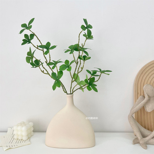 ins绿植吊钟马醉木陶瓷花瓶套装