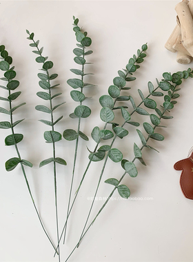 ins风复古尤加利金钱叶枝小清新仿真绿植假花摆件插花北欧风装饰