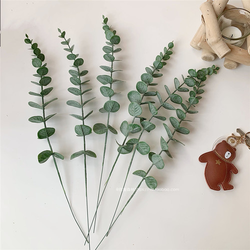 ins风复古尤加利金钱仿真绿植