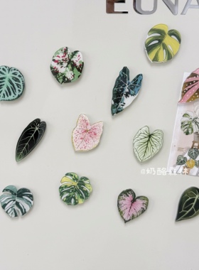 热带植物冰箱贴树叶绿植磁贴diy