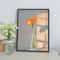 Легкое и теневое растение d