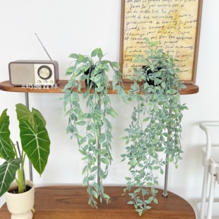 仿真藤蔓绿植吊篮造景墙面装饰客厅办公室置物架垂吊盆栽拍照道具