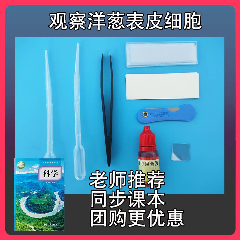 观察洋葱表皮细胞小学五年级上册载玻片盖玻片色素水制作玻片标本图片