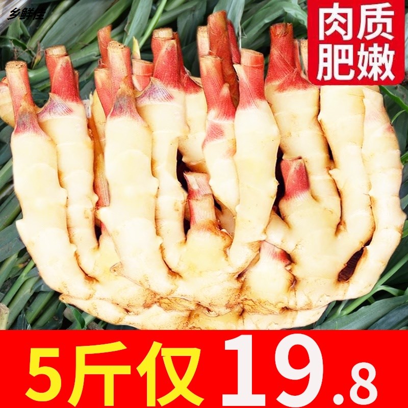 嫩姜生姜新鲜仔姜子姜山东10斤现挖5生泡菜糖醋老红芽姜蔬菜包邮3
