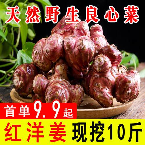 生洋姜多少钱 生洋姜价格 小麦优选