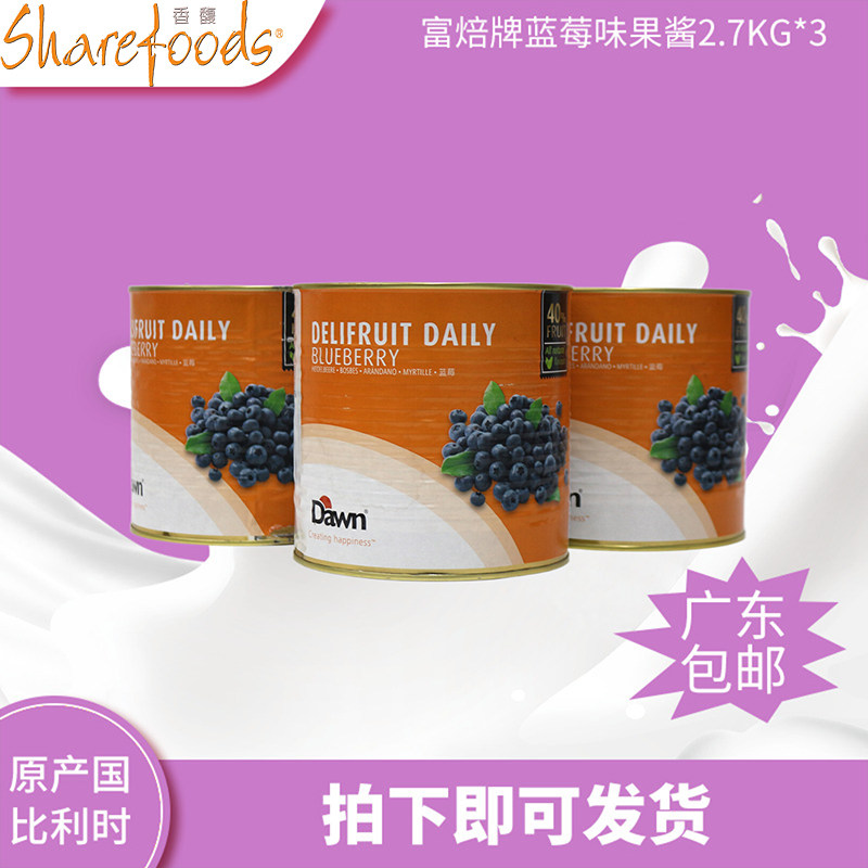 摩坊 比利时进口富焙牌蓝莓味果酱2.7kg*3 果酱果泥 装饰烘焙原料