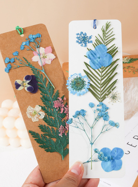 当天发货开发票干花书签手工diy材料包学生自制手工制作流苏空白手绘作画卡片精致树叶花植物标本