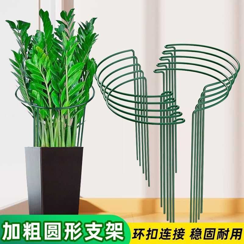 花支撑架金钱树植物花支架支撑杆花架花卉龟背竹防倒伏虎皮兰护花