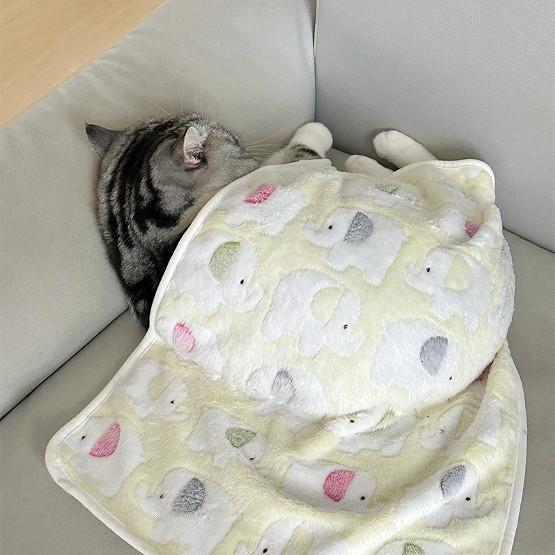 秋冬宠物毛毯猫毯子加厚双面柔软保暖珊瑚绒猫狗睡觉专用垫子被子