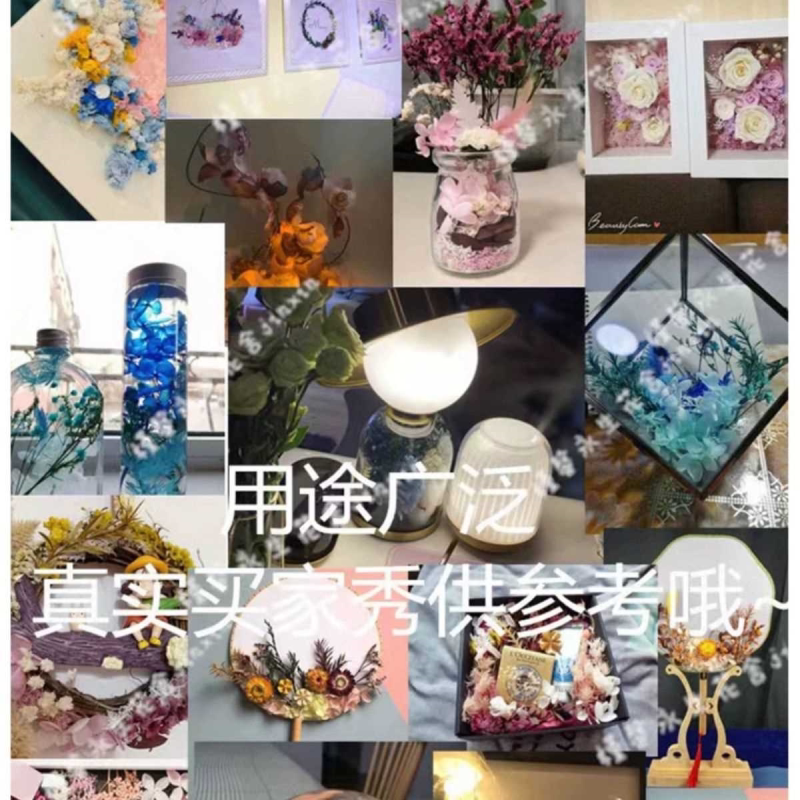多头玫瑰干花ins蔷薇泡泡 diy滴胶相框干花材 自然风干迷你拍照