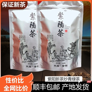 2025新春茶陕西安康紫阳富硒茶产区 紫阳绿茶炒青茶毛尖散装500克