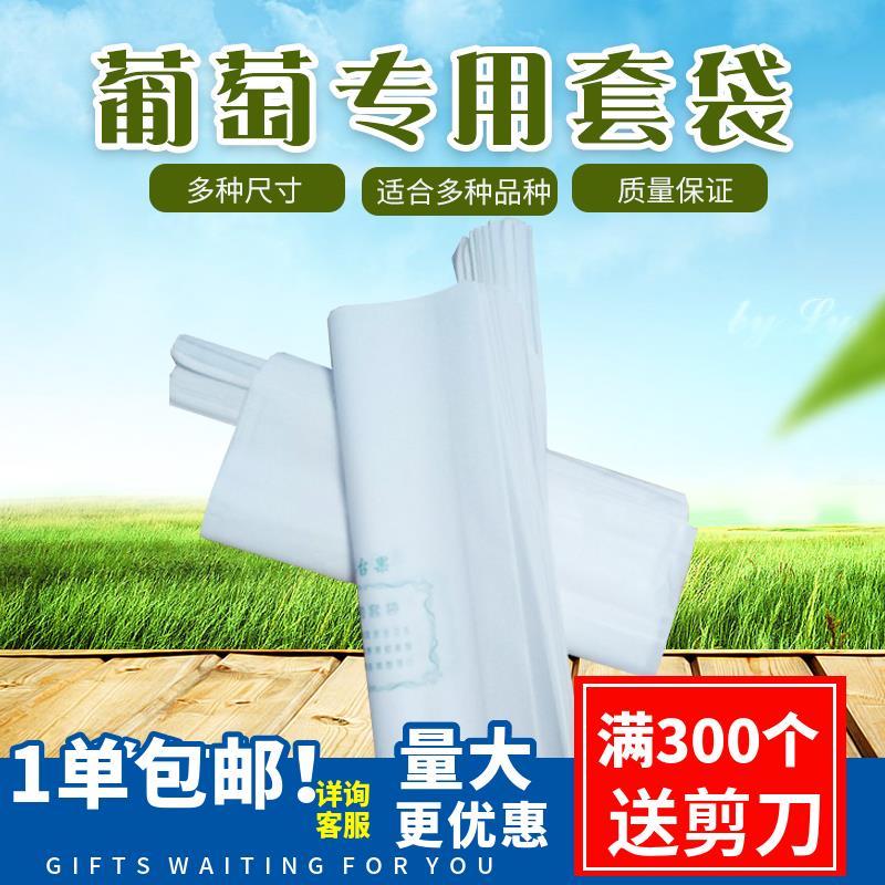 葡萄套袋杨桃莲雾袋火龙果枇杷荔枝哈密瓜育果袋防鸟防水防病专用在类目 鲜花速递/花卉仿真/绿植园艺, 园艺用品, 其它园艺用品中 - 来自Buy2taobao.com提供专业的淘宝代购服务