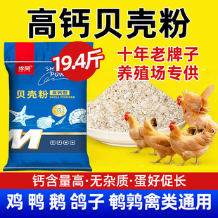 鸡补钙饲料贝壳粉鸡鸭鹅用高钙防啄羽防软蛋鸽子牡蛎粉饲料添加剂