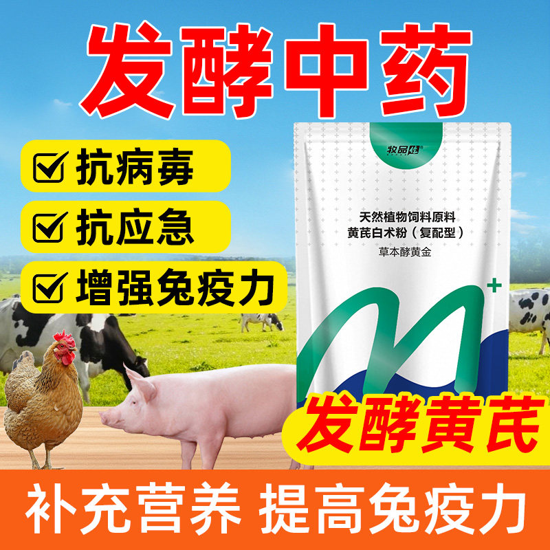 兽用草本酵黄金中药黄芪白术发酵抗病毒增免抗应激补营养孕畜可用