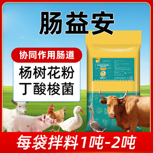 兽用杨树花粉丁酸梭菌调理肠道猪牛羊鸡鸭鹅用肠益安天然植物原料