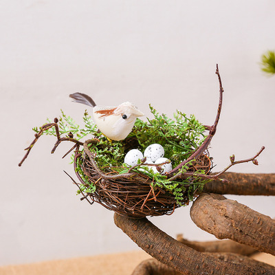 摆放装饰植物角森系鸟巢