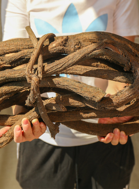 木质幼儿园环创材料自然风植物角