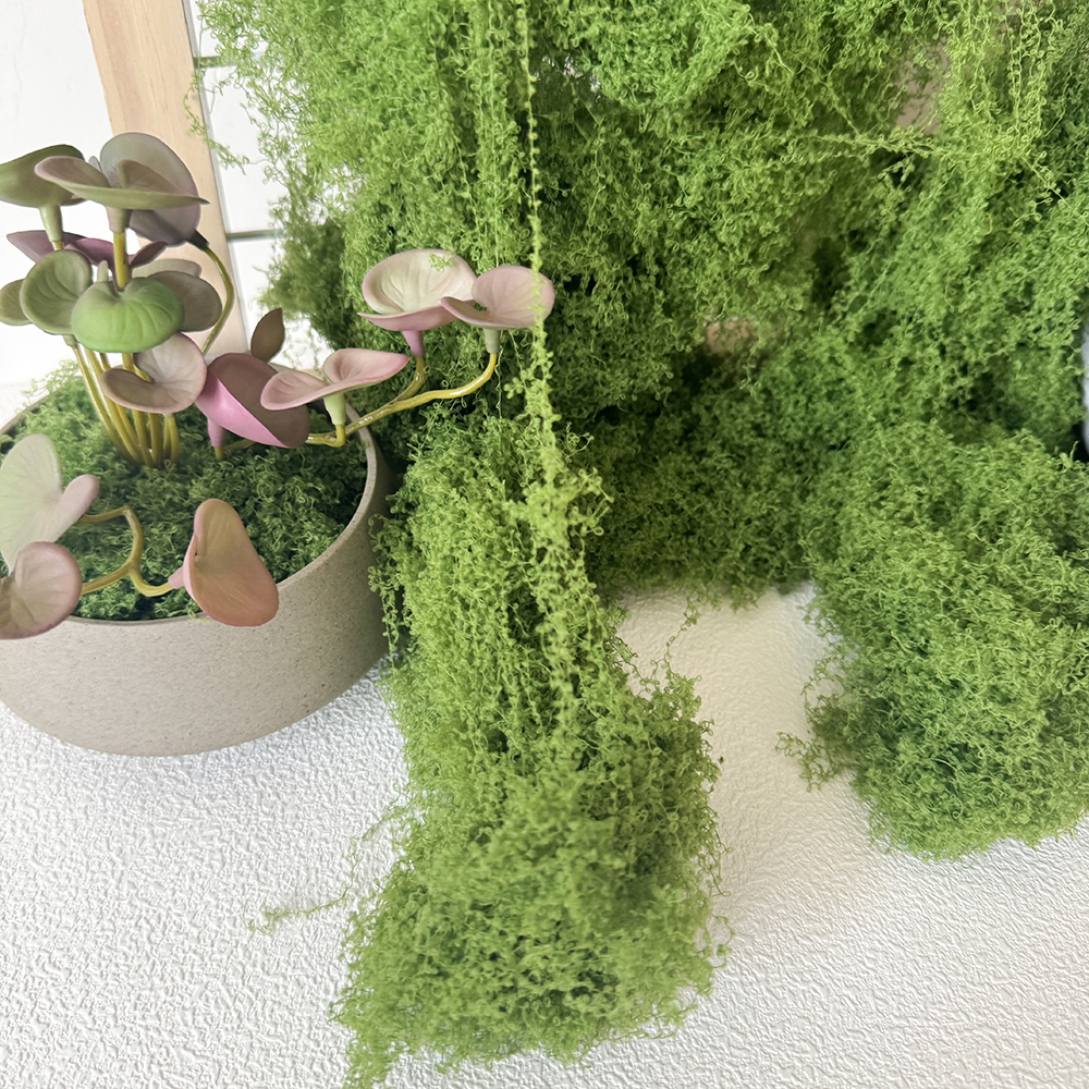 仿真苔藓造景假青苔毛线草皮微景观盆景装饰环保防水仿生草坪绿植