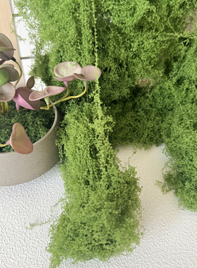 仿真苔藓造景假青苔毛线草皮微景观盆景装饰环保防水仿生草坪绿植