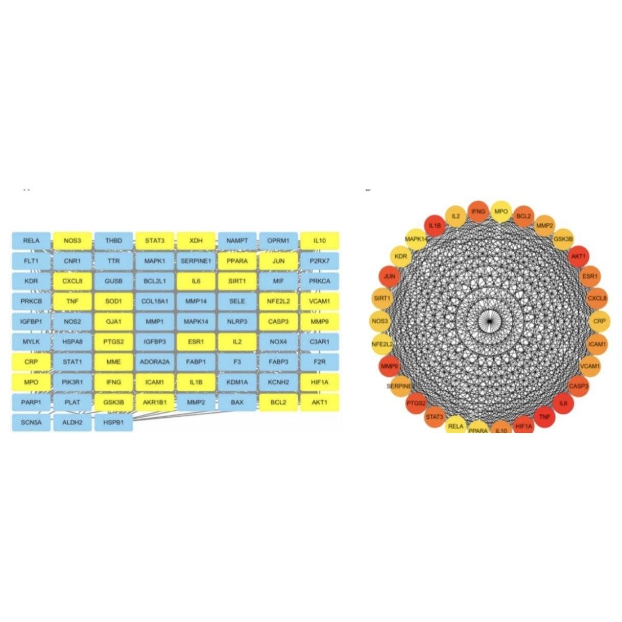 植物生物信息GWAS分析2D3D绘图单倍型分析构建进化树生物信息,商务/设计服务,其它设计服务,淘宝优惠券,粉丝福利购,淘宝优惠卷