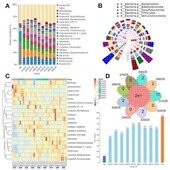 帮微生物16s宏基因组细菌基因组进化次级代谢基因簇蛋白分子对接
