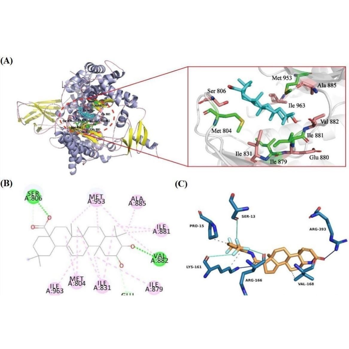 分子对接蛋白对接AlphaFold3蛋白预测互作分析,商务/设计服务,行业研究报告,淘宝优惠券,粉丝福利购,淘宝优惠卷