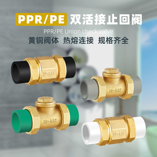 PPR热熔水管止回阀双活接卧式 立式 PE单向逆止阀46分DN32