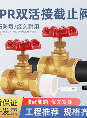 PPR PE双活接截止阀加厚防腐防漏阀门4分6分水管开关家装工程专用