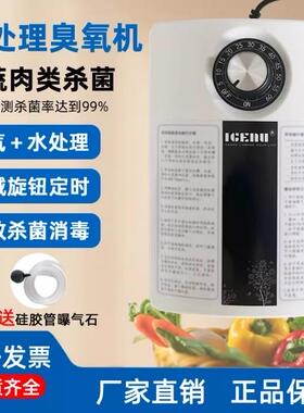 2000mg臭氧发生器家用洗菜消毒机果蔬肉类降解农残鱼缸水池消毒器