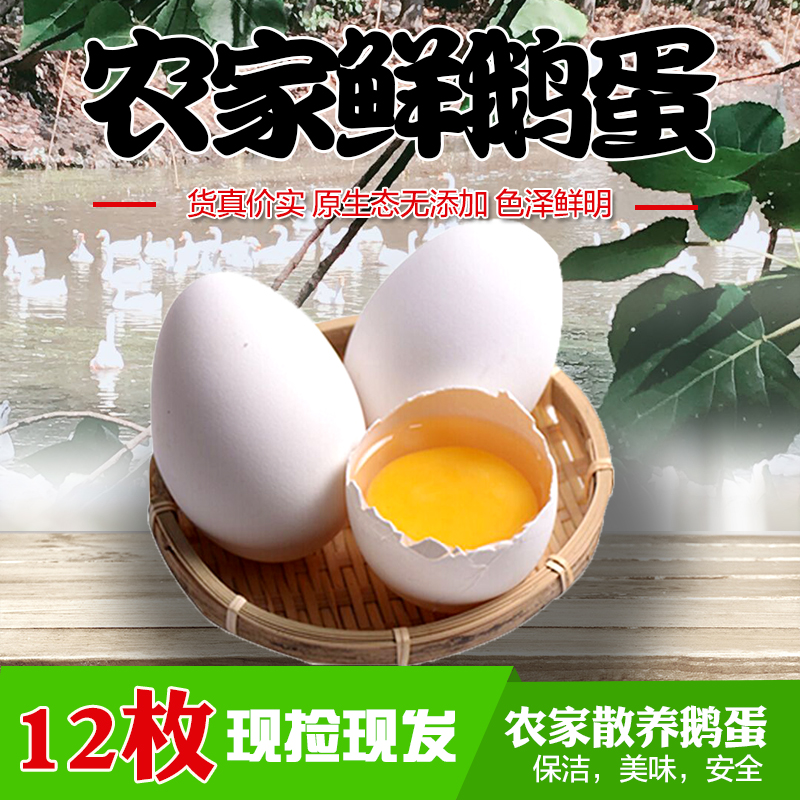 Fresh goose eggs 12 pieces of pregnant womens farm scattered coarse cereals fed to the health preserving big earth