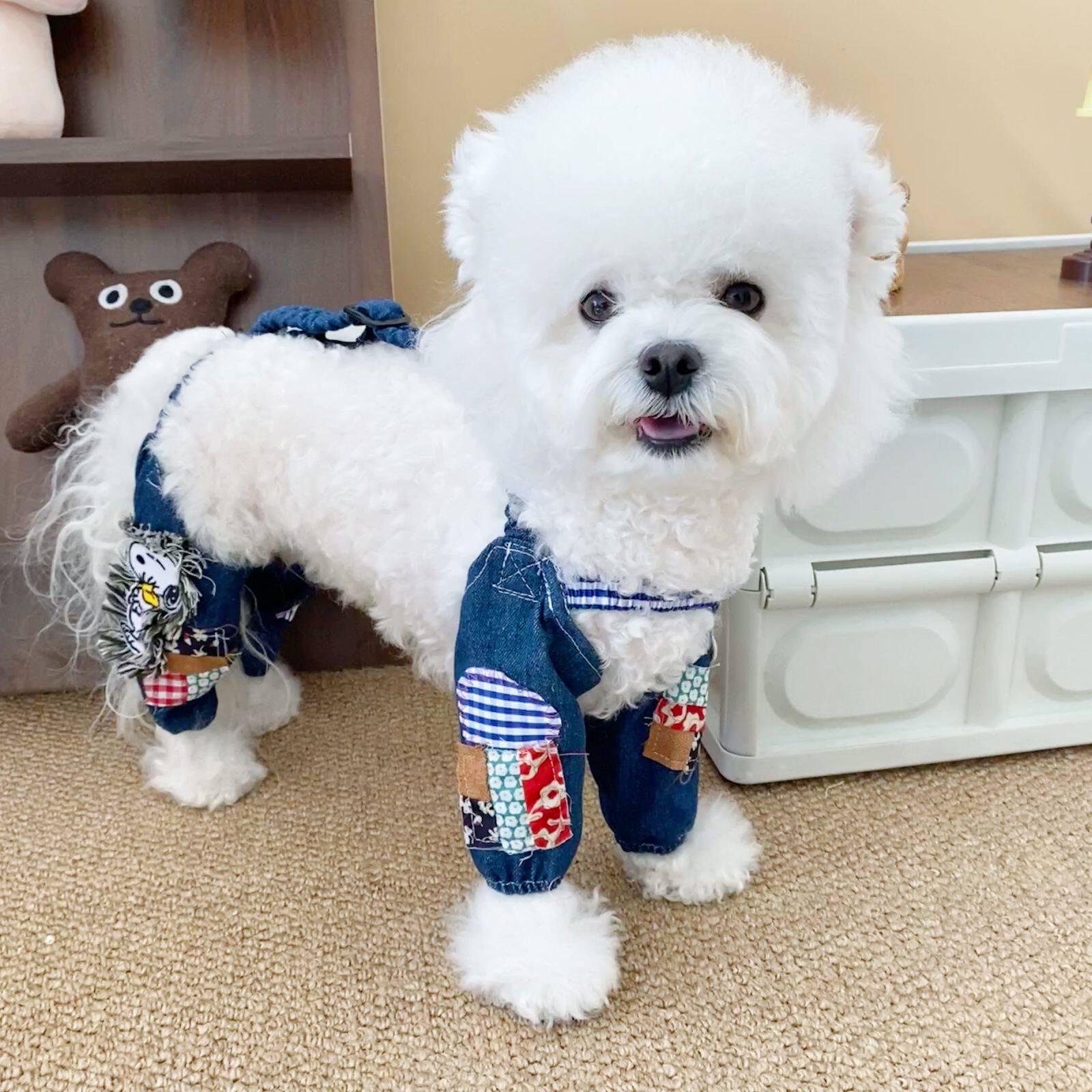 宠物狗狗外出防尘裤软牛仔防脏裤按扣中小型犬外出遛弯裤泰迪比熊