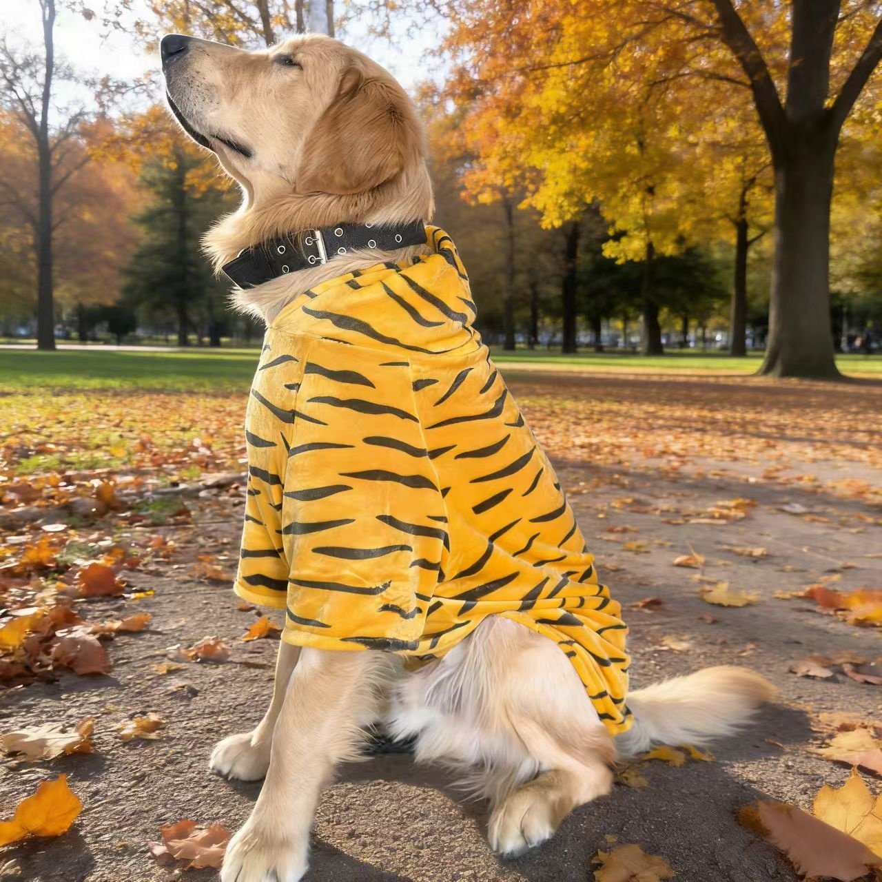 大中型狗狗老虎纹连帽衫宠物服装珊瑚绒春秋季潮牌两脚大型犬衣服