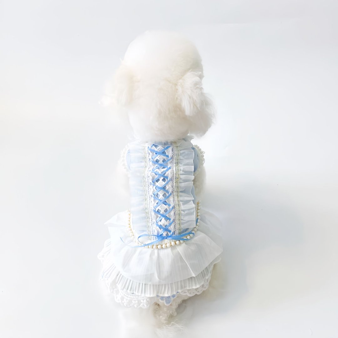 狗狗衣服春夏薄款公主裙蓝白蕾丝吊带裙小型犬泰迪比熊博美雪纳瑞