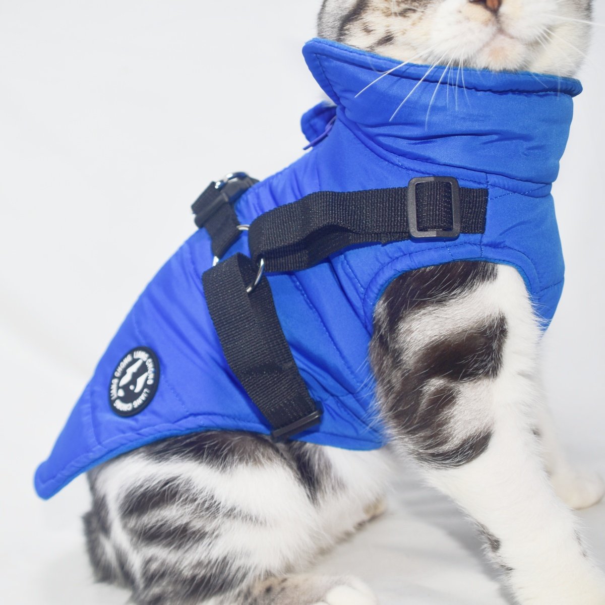 大狗狗冬装可牵引拉链款保暖衣服泰迪大中小狗金毛拉布拉金猫咪衣