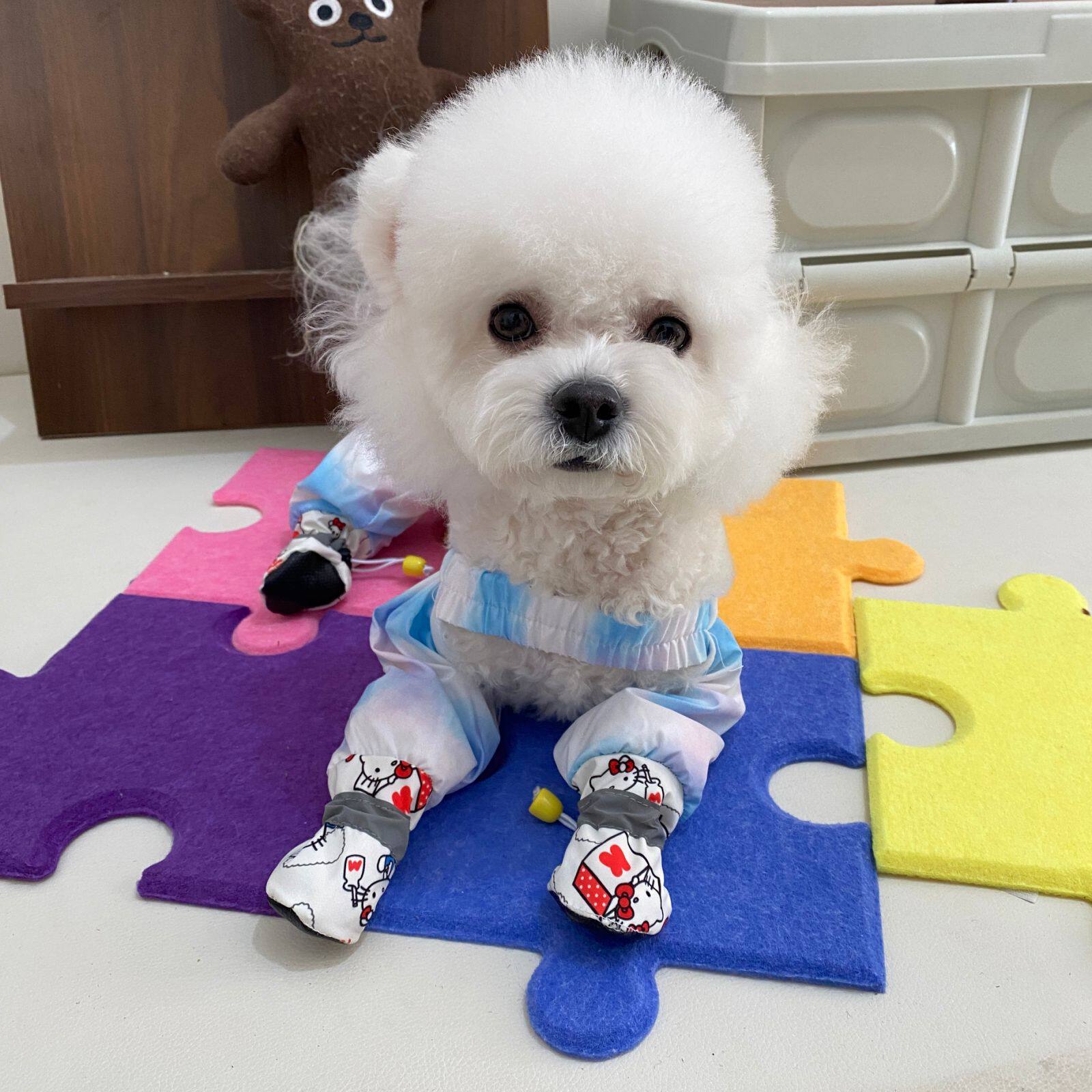 宠物衣服外出遛弯防尘裤泰迪比熊中小型犬防脏连体四脚裤鞋雪纳瑞