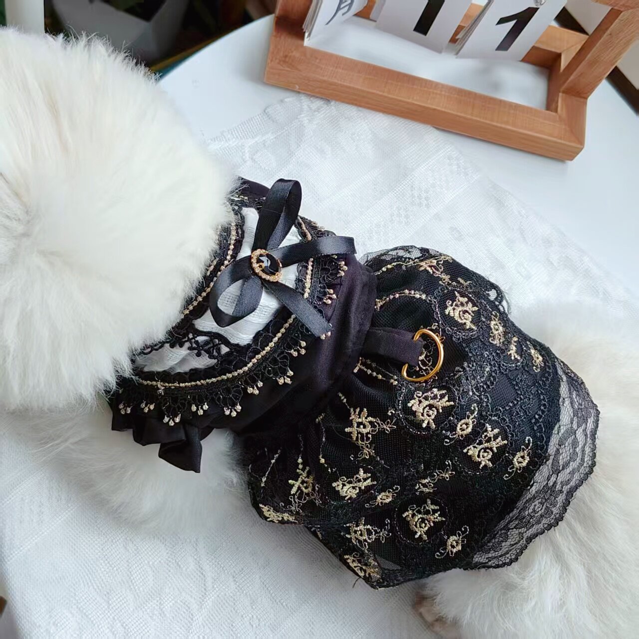 宠物狗狗衣服春夏薄款猫咪金边蕾丝背心裙泰迪比熊小型犬宠物衣服