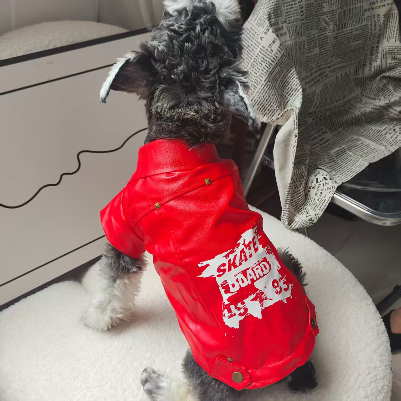 狗狗衣服柯基法斗犬宠物春秋装比熊狗红色飒皮衣春款防风保暖帅气