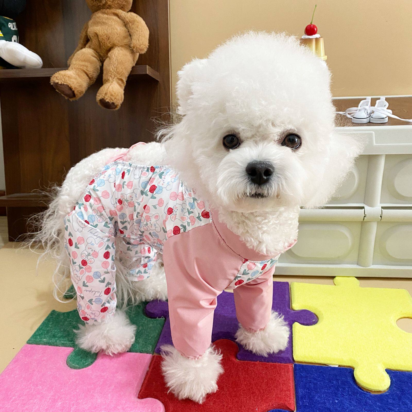 中小型犬春夏秋狗狗防尘衣遛弯裤春夏防脏防虫四脚裤套腿护腿防尘