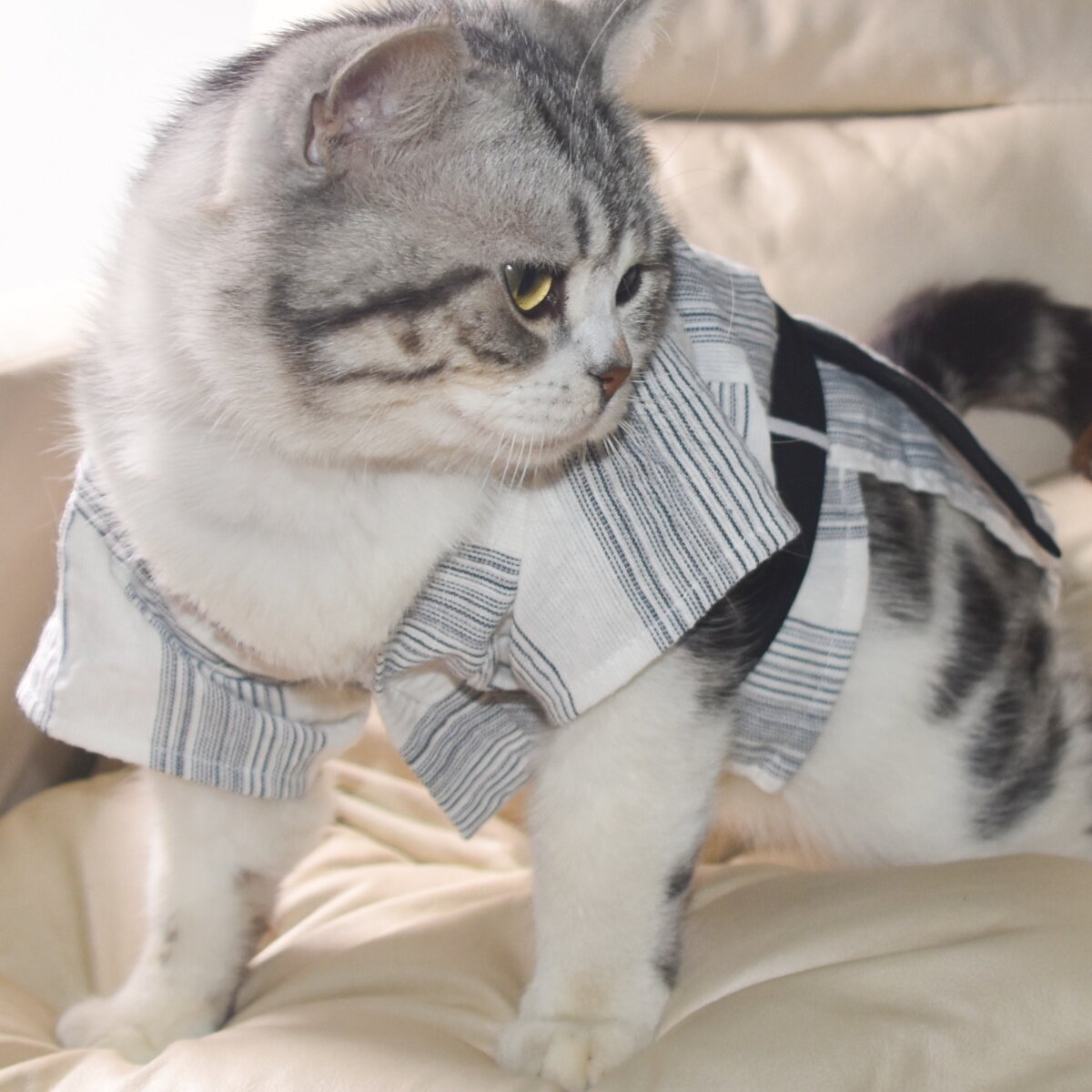 宠物韩版衣服春夏薄款狗狗猫咪衣服日式浴衣夏日祭和服