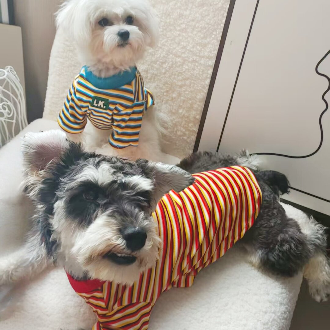春夏聚酯纤维狗狗衣服柯基