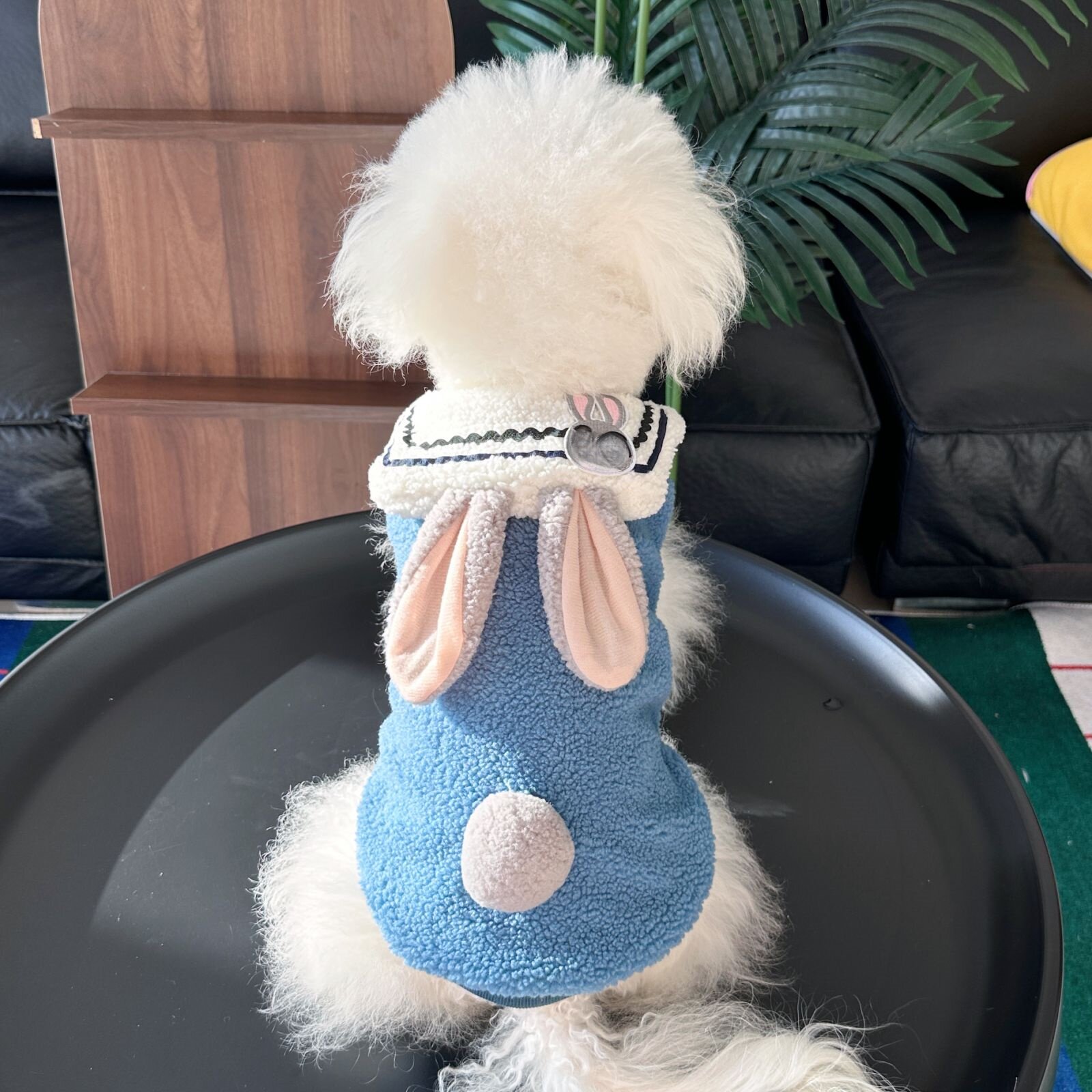 宠物可爱毛绒兔耳朵造型狗狗衣服秋冬保暖小型犬泰迪比熊卡通服装