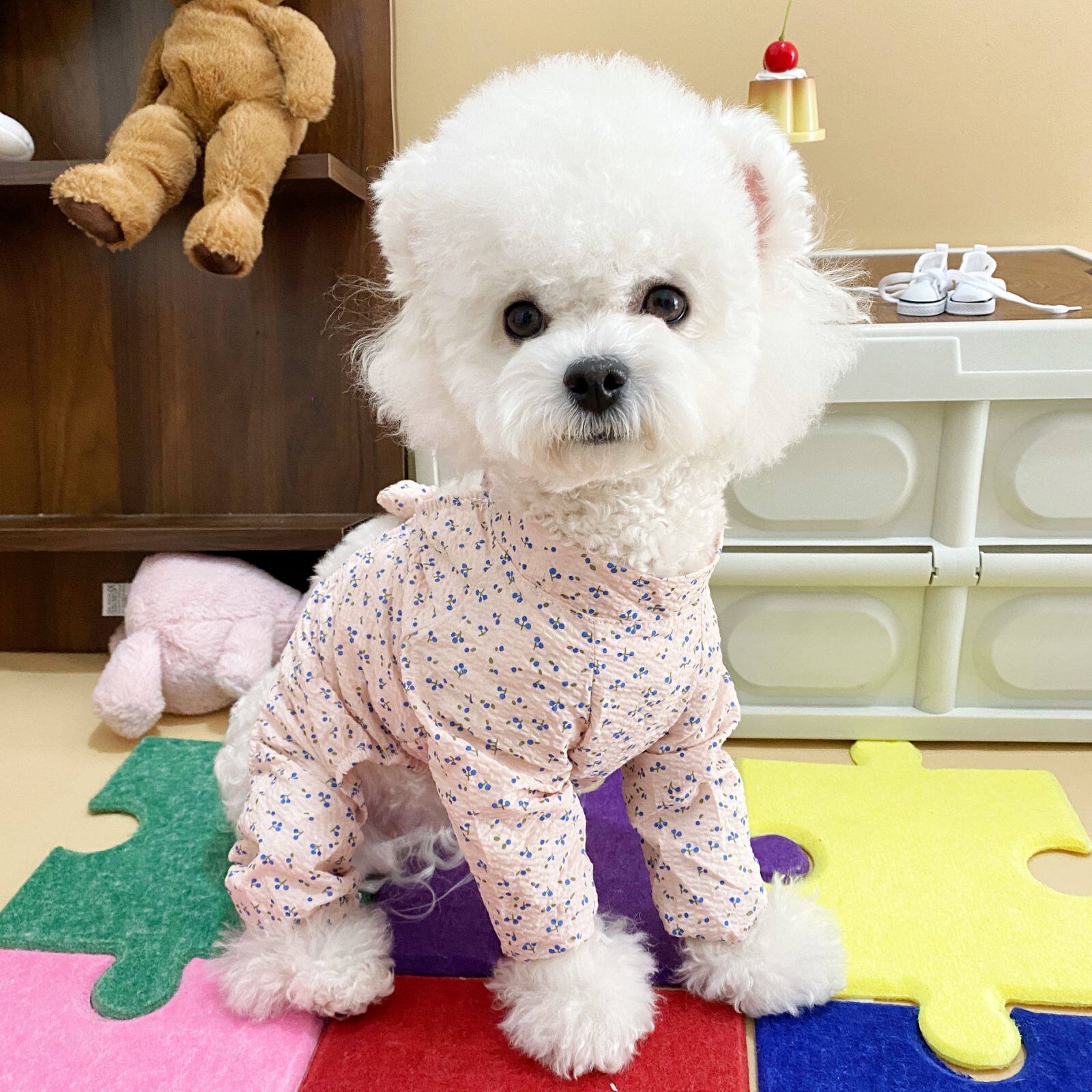 狗狗中小型犬防尘衣春夏秋防尘裤遛弯裤春夏防脏防虫四脚裤腿护腿