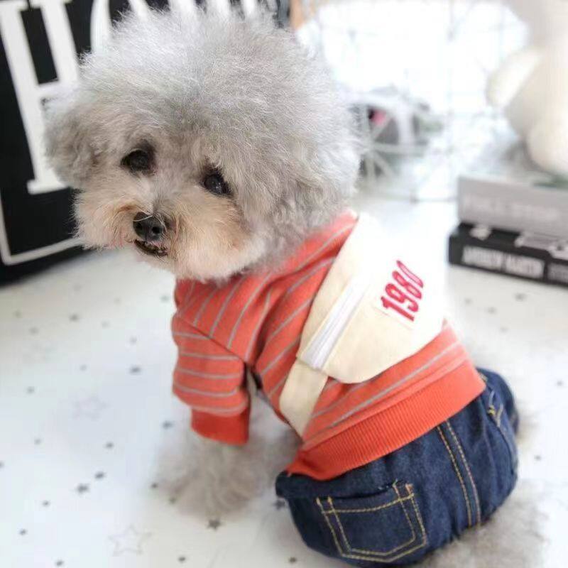 猫咪狗狗小型犬加绒冬季款