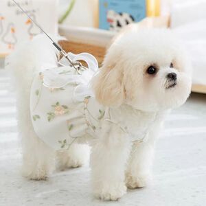 宠物可牵引碎花公主风裙子夏季泰迪比熊小型幼犬狗狗夏天衣服薄款