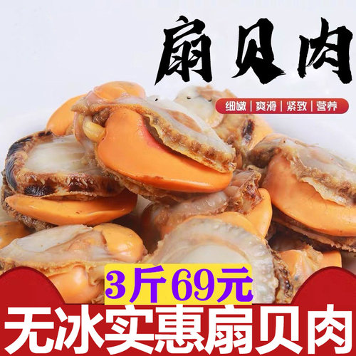 新鲜野生3斤现剥超大即食扇贝肉