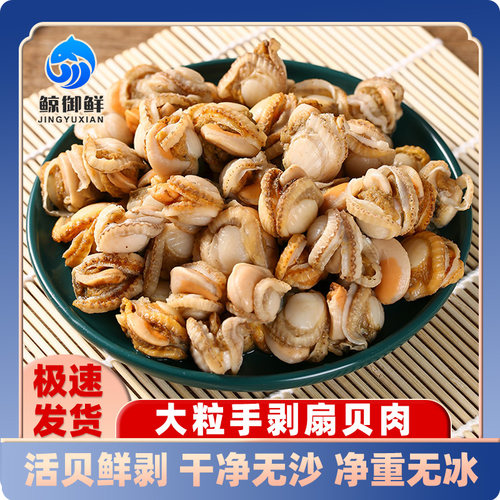 新鲜味美扇贝肉