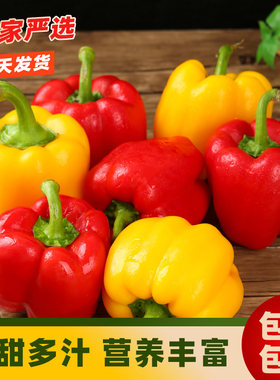 新鲜水果彩椒七彩灯笼红色黄色圆