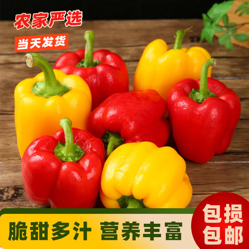 新鲜水果彩椒七彩灯笼红色黄色圆
