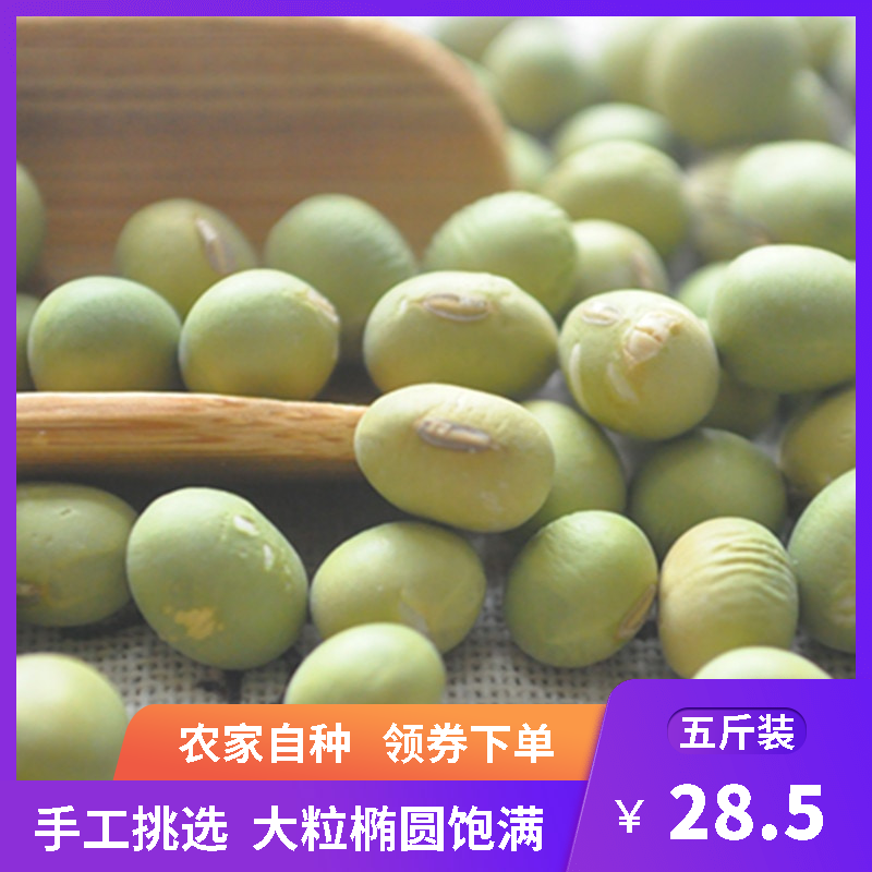 农家自种小青豆绿芯大青豆青大豆绿皮黄豆椭圆形生干青皮黄豆五斤